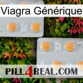 Viagra Générique 25
